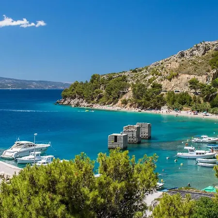 Apartment Luxury Tinel Mimice