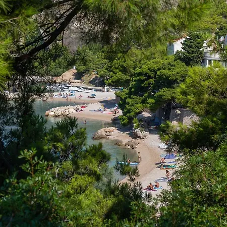 Luxury Tinel